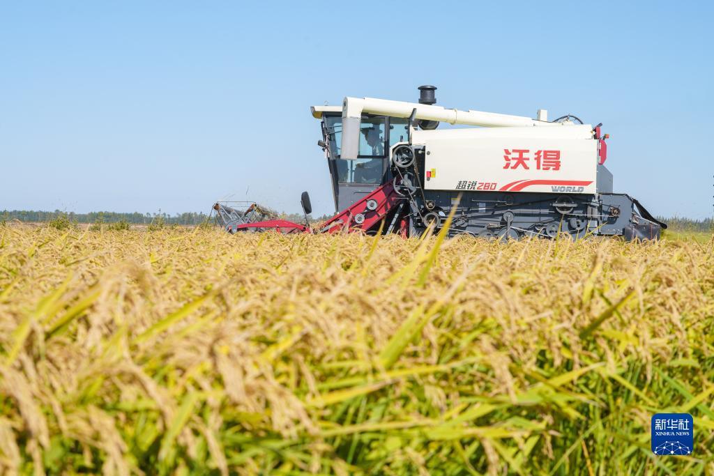 百胜电玩2018最新